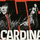Image for article titled COTD: A lesser cardinal edition